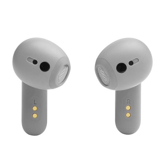 JBL Live Flex - Silver - True wireless Noise Cancelling earbuds - Back